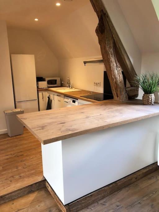 Appartement Au Calme Entre Terre Et Mer. Proche Honfleur Barneville-la-Bertran Екстер'єр фото